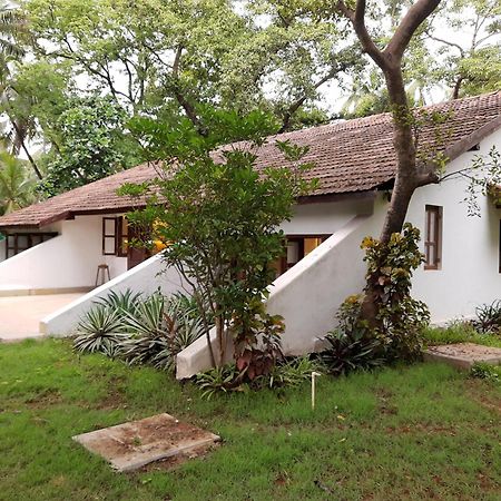 Banyan House - Luxurious 4 Bedroom Villa On One Acre, Near The Beach Nagaon  Εξωτερικό φωτογραφία