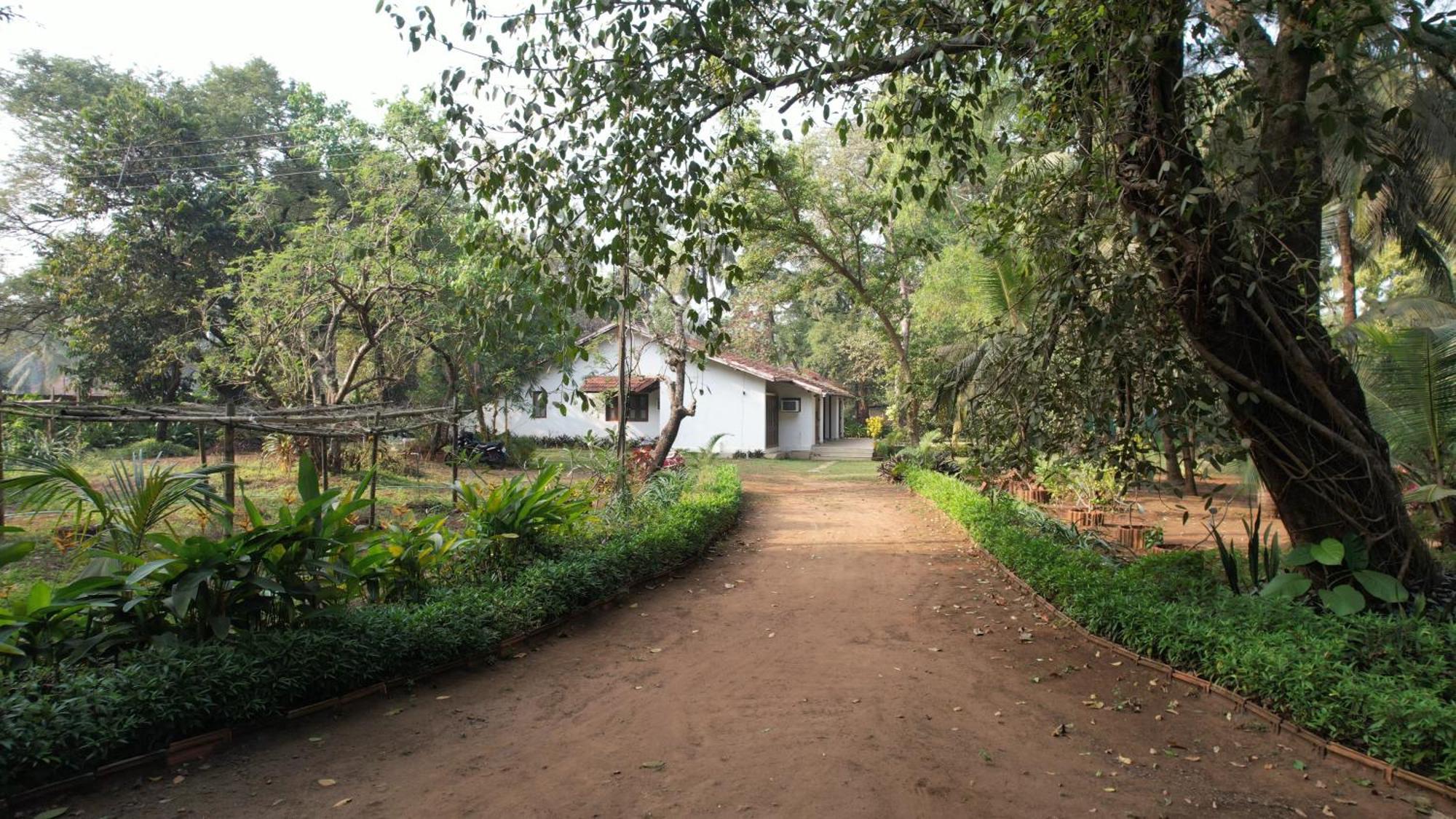 Banyan House - Luxurious 4 Bedroom Villa On One Acre, Near The Beach Nagaon  Εξωτερικό φωτογραφία